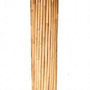 במבוק מושחל 2*2 30/35